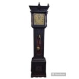 Anglo Indian carved Longcase clock with brass dial. Highly carved floral and figural carved with