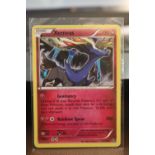 Pokemon,Xerneas,81/114,Holo,Steam Siege,