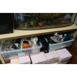 2 Boxes of assorted ceramics and collectables inc. West German Vase, Cast Iron Insect Boot Pull,