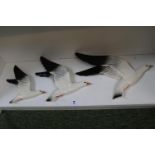 Beswick set of three seagull wall plaques, models 921, 922 and 923, largest 35cm