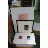Collection of assorted unframed and framed pictures to include Penelope Butterworth