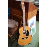 Palmer P41-12 Acoustic Guitar