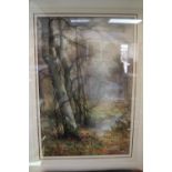 Framed Watercolour depicting a woodland view by Thomas Taylor of Ireland