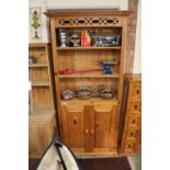 Tall Pine bookcase with panelled cupboard base