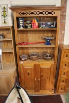 Tall Pine bookcase with panelled cupboard base