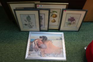 Pears Print entitled Amaryllis and a collection of Botanical pictures