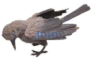 In the Style of Franz Bergmann (1861-1936). Cold painted model of a Jay in Bronze unmarked. 22cm