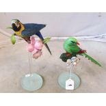 A model of a parrot on long stem stand and another exotic bird