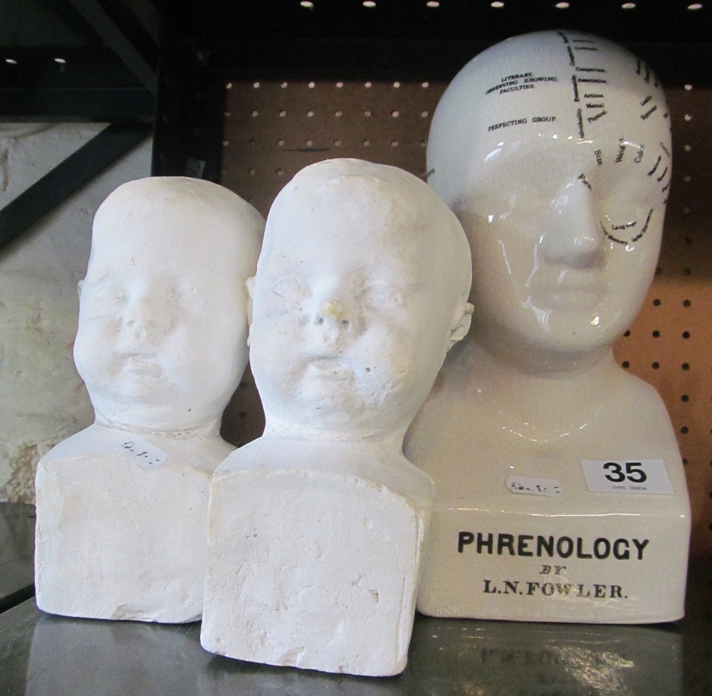 Two plaster children's heads and a phrenology head
