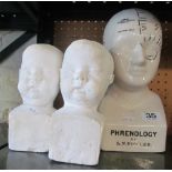 Two plaster children's heads and a phrenology head