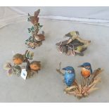 Four Compton & Woodhouse Coalport limited edition bird ornaments