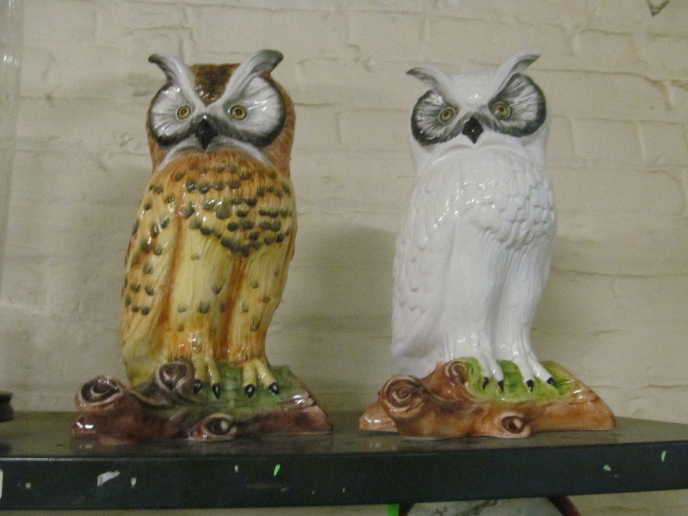 2 owls