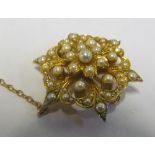An Edwardian pretty seed pearl brooch with safety chain