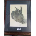 An Albrecht Durer print rabbit