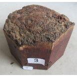 A fossilized tree stump
