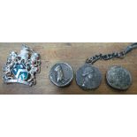 A small group of antique coins and a brooch