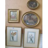 Two floral prints, two mezzotints and a small watercolour dancers