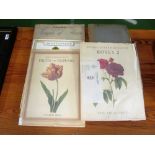 A book Paradiso on Sole and other flower books