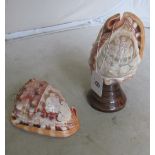 A carved conch shell with Italian cameo carving and similar lamp