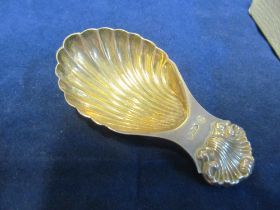 A silver shell caddy spoon