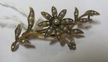 A 9ct gold brooch with pearls