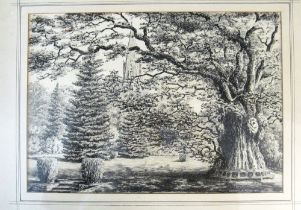 S. Wrayment-Acton - pen drawing 'Mitchenden Oak' and watercolour village scene