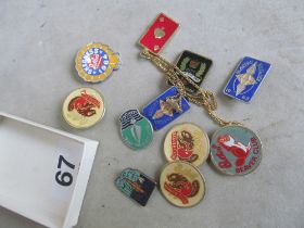 A small group of Butlins and other badges