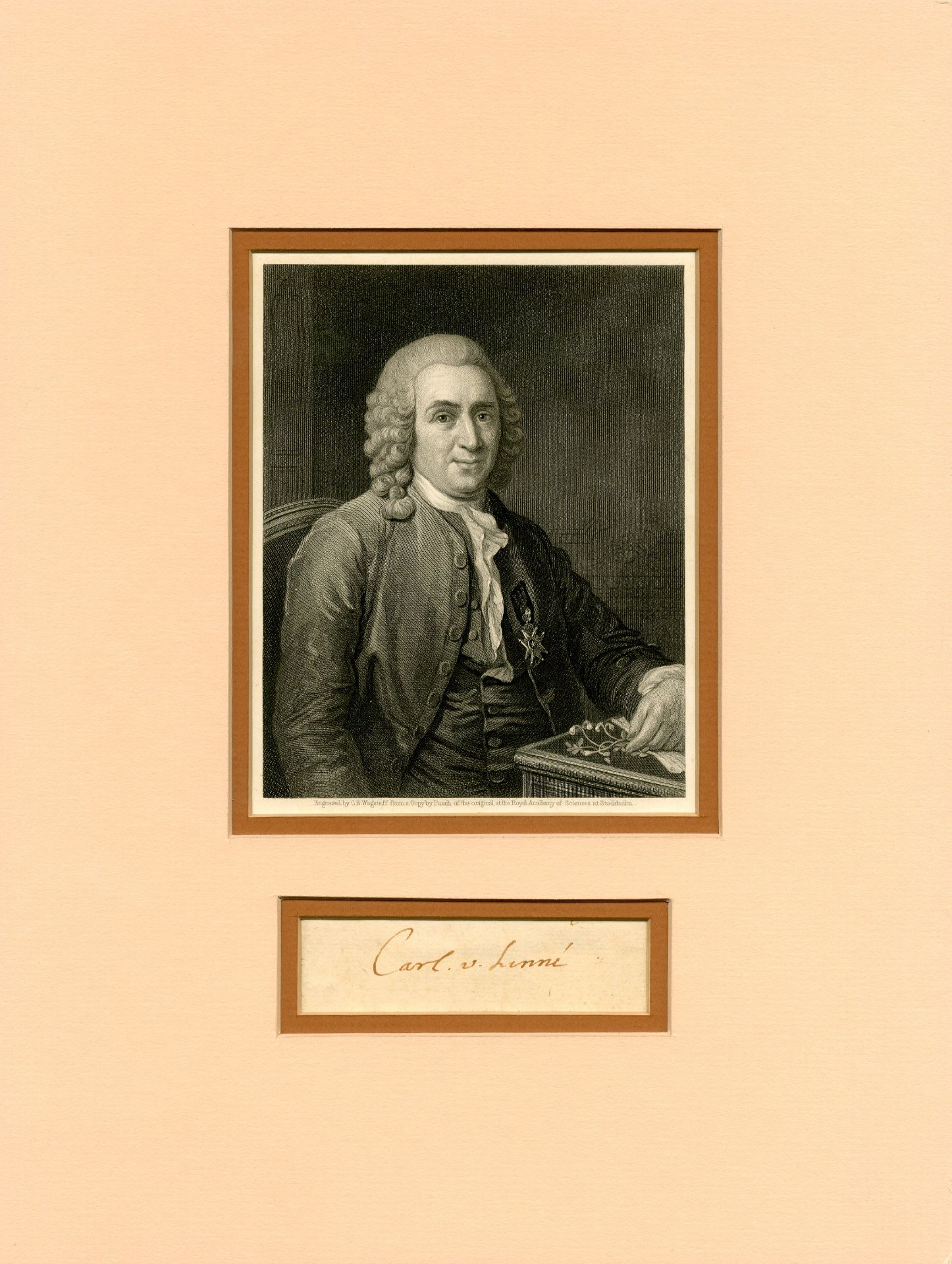 LINNAEUS CARL: (1707-1778) Swedish botanist,