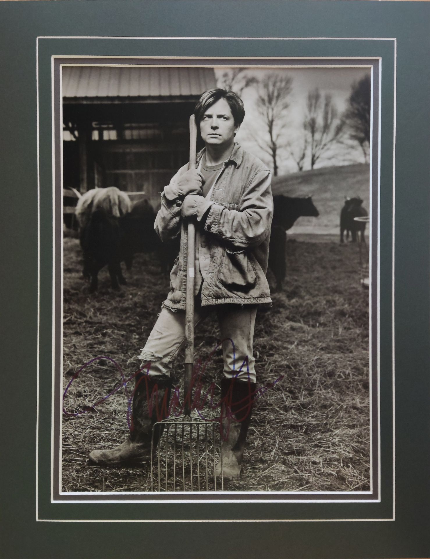 FOX MICHAEL J.: (1961- ) Canadian-American actor. - Image 2 of 2