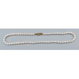 A cultured pearl necklace with 9ct gold clasp, 39cms long