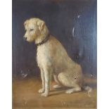 M. A. Barclay, study of a terrier, oil on canvas, 49cms x 39cms