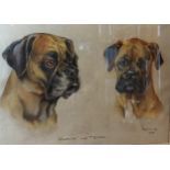 Marjorie Cox, Marta and Tessa, study of two dogs, pastel, signed and dated 1950, 31cms x 42cms