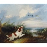 George Armfield, two dogs chasing ducks, oil on canvas, signed, 24cms x 29cms