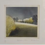 Belinda King, Approaching Storm, coloured etching number 12 of 20 signed in pencil, 18cms by 19cms