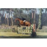 David Shepherd, 'Judy - Rome 1961' horse jumping, oil on canvas, signed, 37cms x 57cms