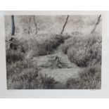 John Blakemore, Derbyshire 1981, monochrome photograph, signed, 39cms by 48cms