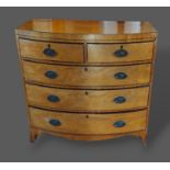 A 19th Century mahogany bow fronted chest of two short and three long drawers with oval brass