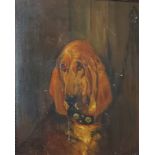 An Early 20th Century English school, head study of a dog, oil on canvas, unsigned, 64cms x 54cms