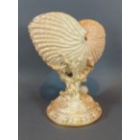 A Royal Worcester blush ivory vase in the form of a conch shell with pedestal base, 21cms tall