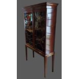 A 19th Century mahogany bookcase, the moulded cornice above two astragal glazed doors raised upon