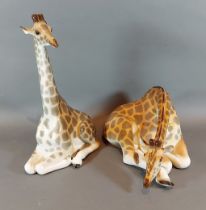 A USSR model of a giraffe, 29cm tall, together with another similar giraffe