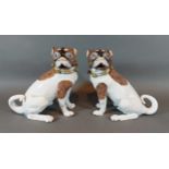 A pair of Dresden porcelain models of Pug dogs, each decorated in polychrome enamels and highlighted