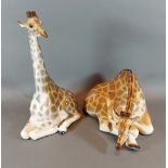 A USSR model of a giraffe, 29cm tall, together with another similar giraffe