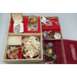 A collection of jewellery to include brooches, necklaces and other jewellery