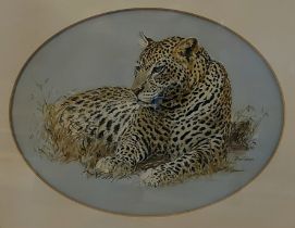 Jean Colson, study of a leopard, watercolour signed, in oval mount, 27cms x 34cms