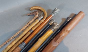 Five silver mounted walking sticks together with three other walking sticks