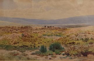 William Snell Morrish, a view of Dartmoor, watercolour, signed and dated 1880, 27cms x 43cms