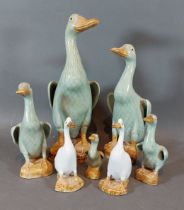 A collection of five Chinese celadon graduating ducks, together with two other similar ducks