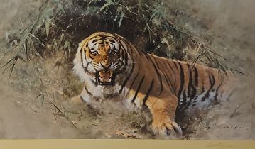 After David Shepherd, Tiger Fire, limited edition print number 527/850, signed in pencil, 64cms x