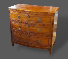 A Regency mahogany bow fronted chest of three long drawers with circular brass handles raised upon